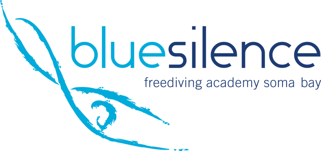 blueSilence-Logo