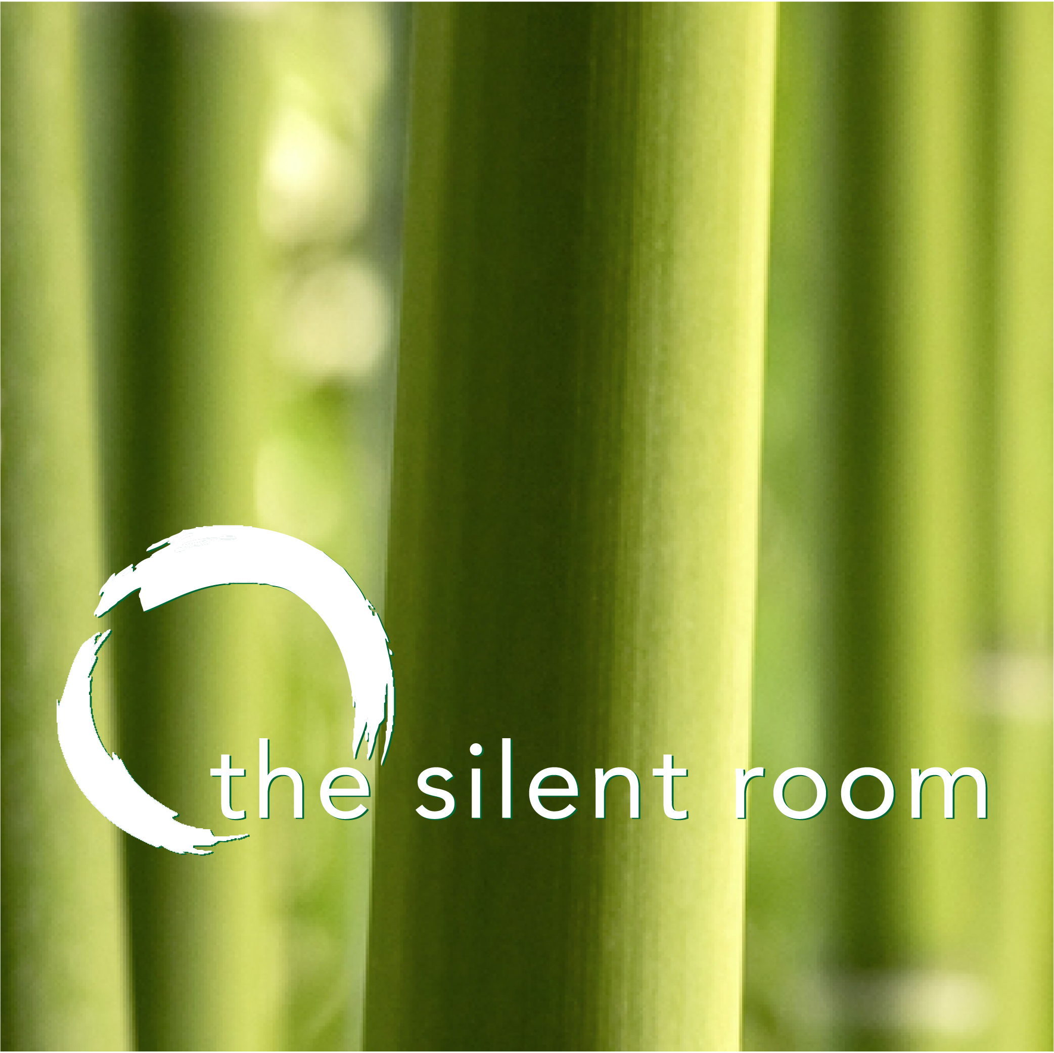 Logo the silent